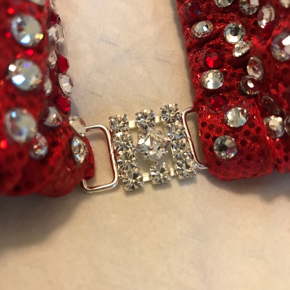 Red Full Bikini Competition Suit - image 6